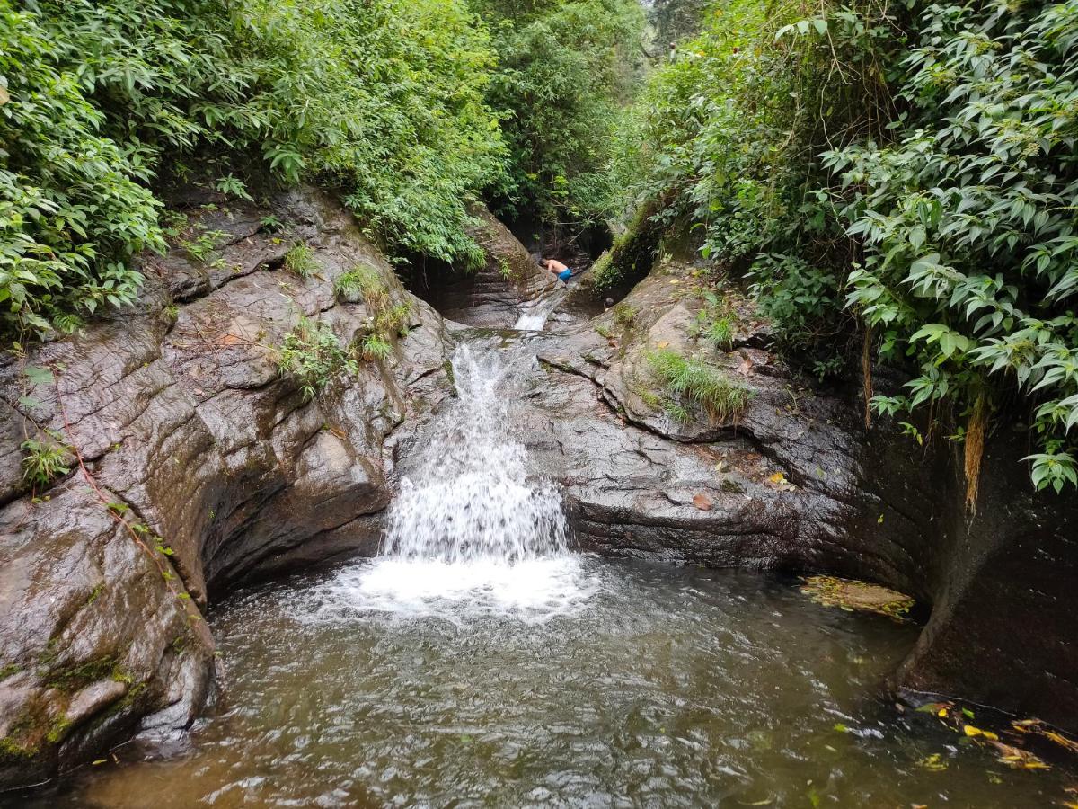 Villoonnickal Homestay Munnar Kültér fotó