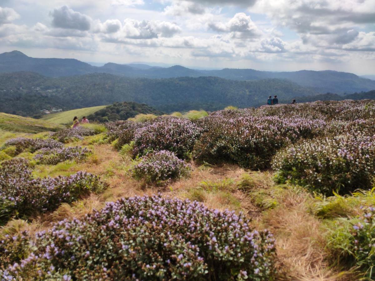 Villoonnickal Homestay Munnar Kültér fotó